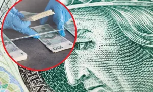Ręce w rękawiczkach liczą banknoty 100 zł. Obok widać fragment banknotu z podobizną królowej, jakby to był funt szkocki.