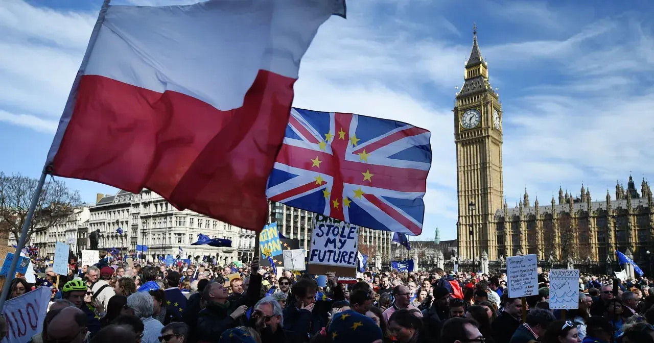 Polonia w Wielkiej Brytanii na demonstracji pod Parlamentem. Flaga Polski obok flagi UE i Big Bena.